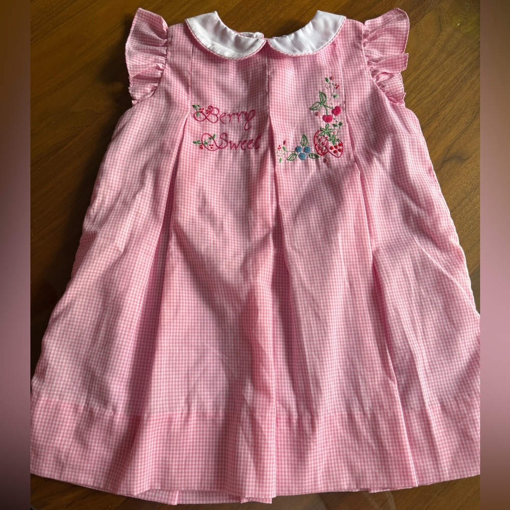 Proper peony 4T "Berry Sweet" Embroidered Toddler Dress NWT